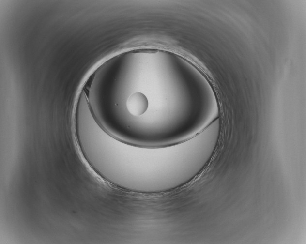 X0000112081536200908041244