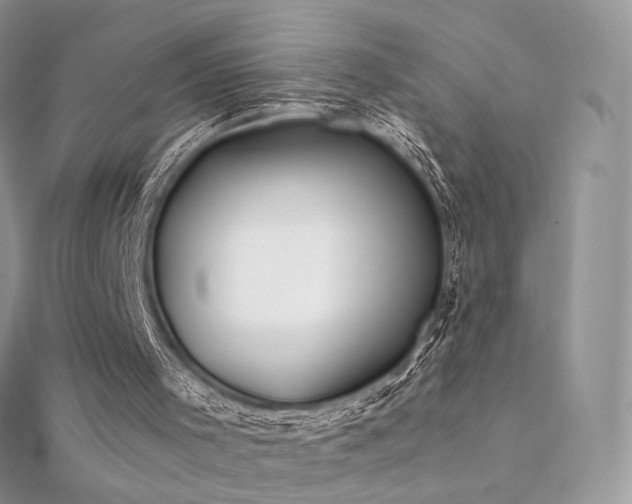 X0000112080001200908111505