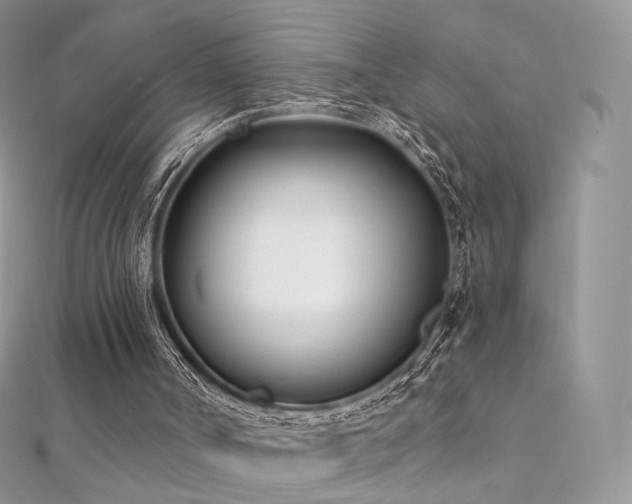 X0000112080002200908111505