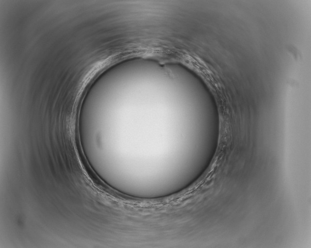 X0000112080003200908111505