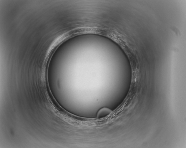 X0000112080004200908111505