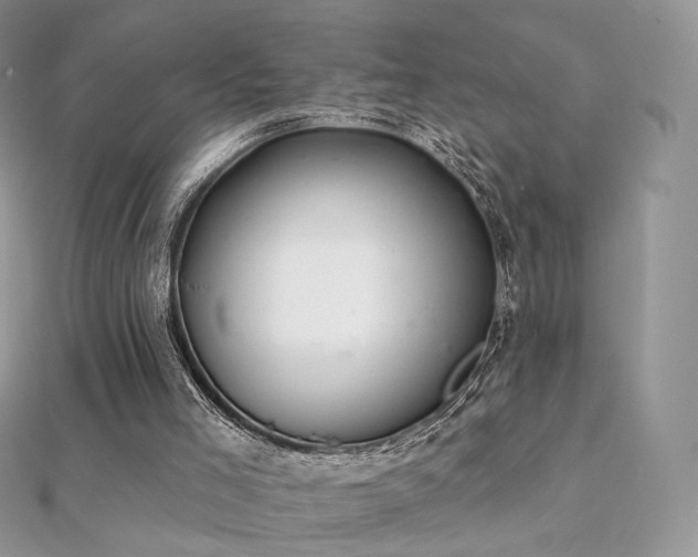 X0000112080005200908111505