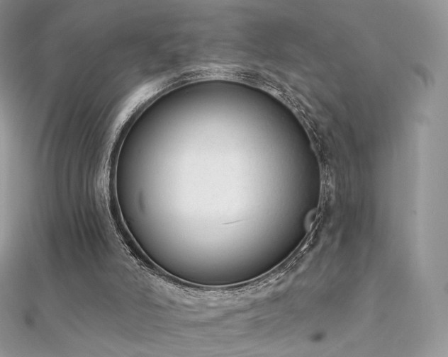 X0000112080006200908111505