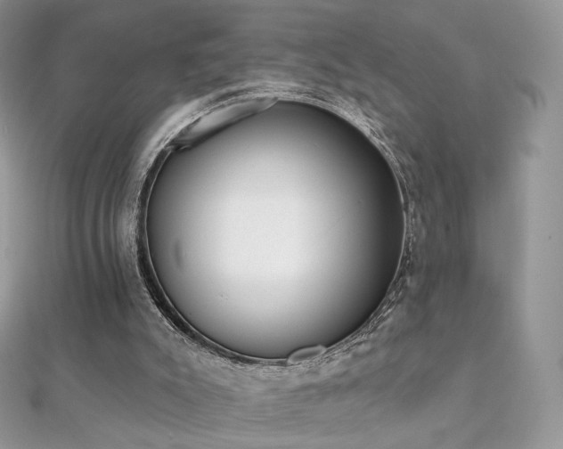 X0000112080007200908111505