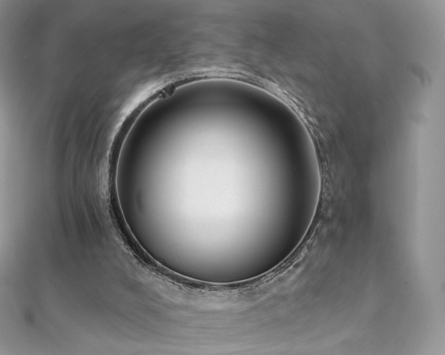 X0000112080008200908111505