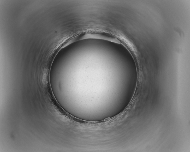 X0000112080009200908111505