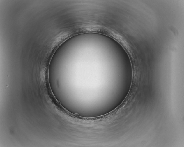 X0000112080010200908111505