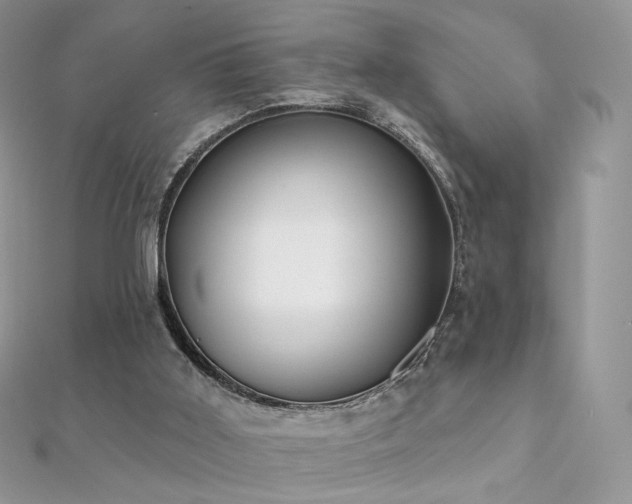 X0000112080011200908111505