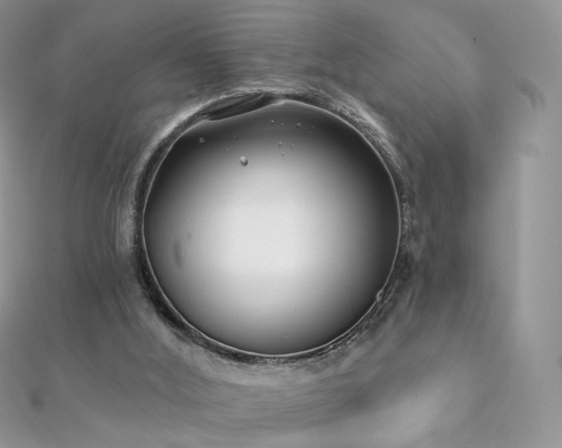 X0000112080012200908111505