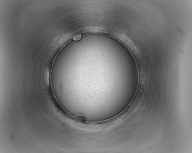 X0000112080014200908111505