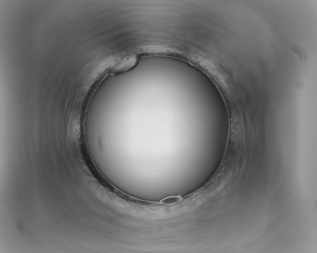 X0000112080015200908111505