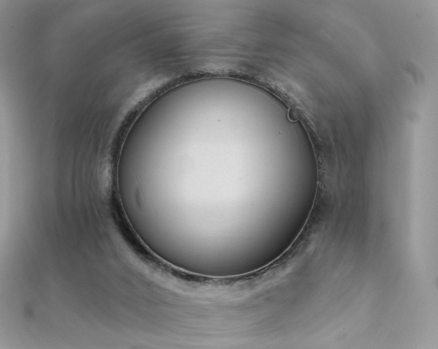 X0000112080016200908111505