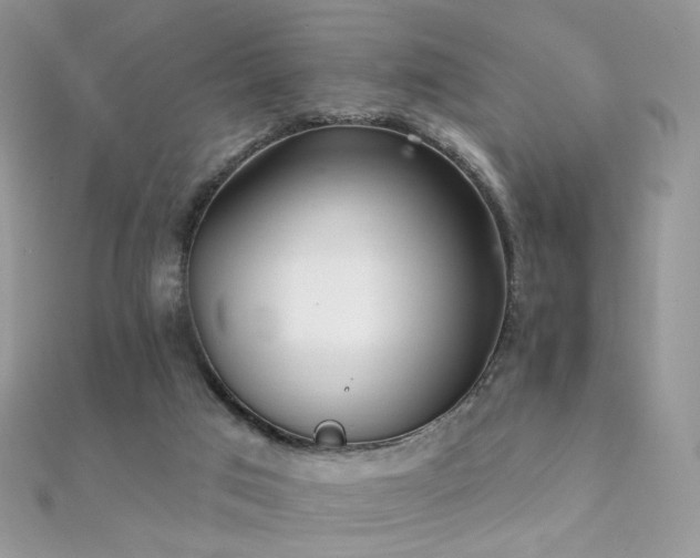 X0000112080017200908111505