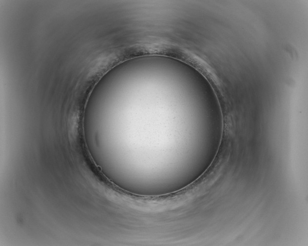 X0000112080018200908111505