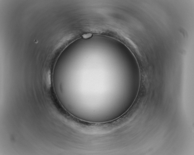 X0000112080020200908111505