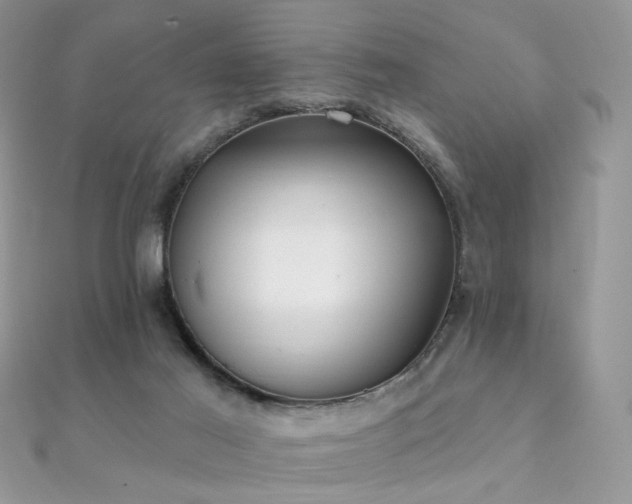 X0000112080021200908111505