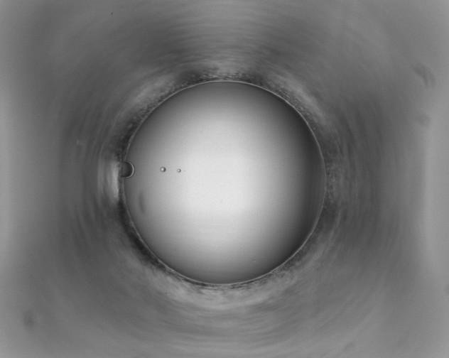 X0000112080022200908111505