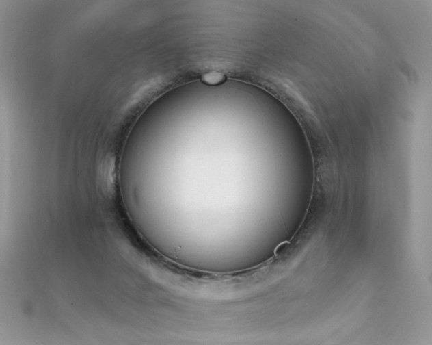 X0000112080024200908111505