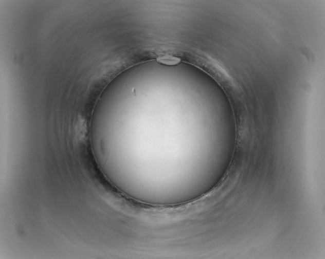 X0000112080025200908111505