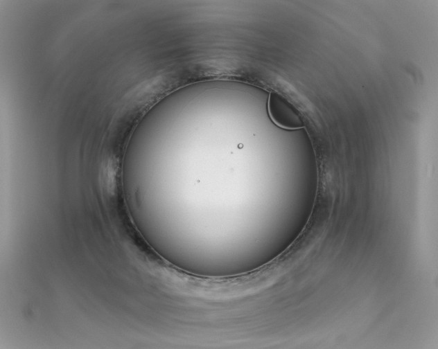 X0000112080026200908111505