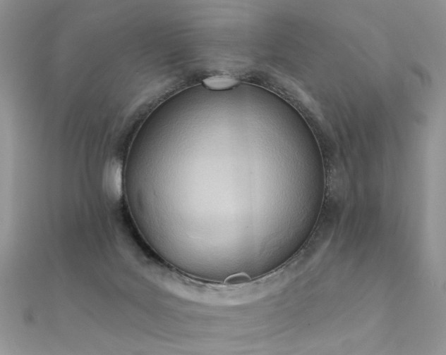 X0000112080027200908111505