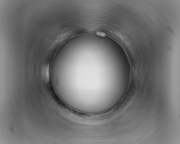 X0000112080028200908111505