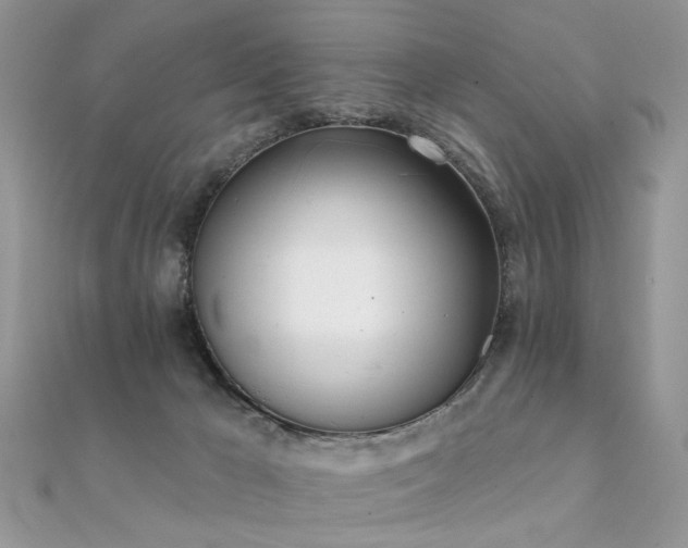 X0000112080029200908111505