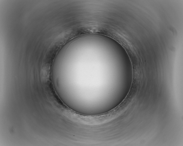X0000112080030200908111505