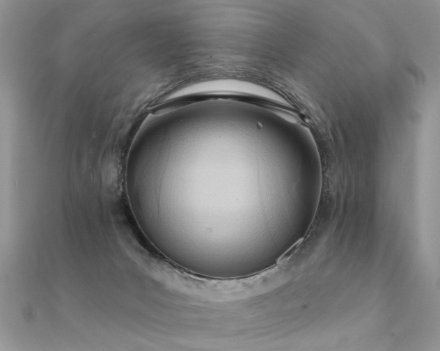 X0000112080031200908111505