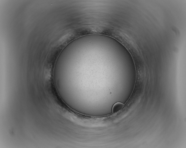 X0000112080032200908111505