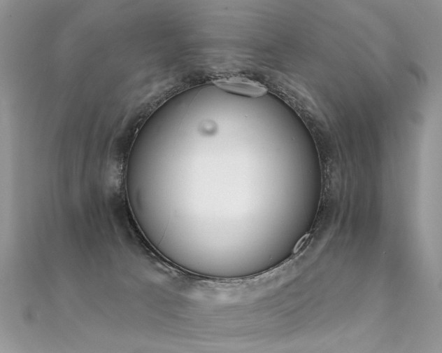 X0000112080033200908111505