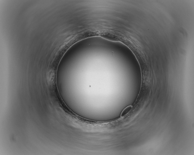 X0000112080036200908111504