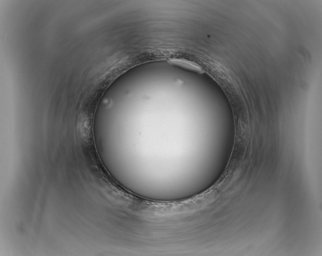 X0000112080037200908111504