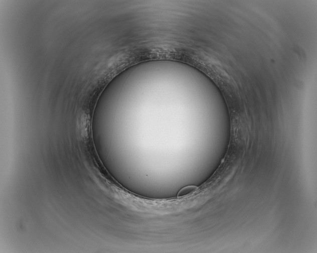 X0000112080038200908111504