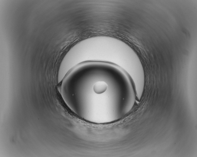 X0000112080039200908111504