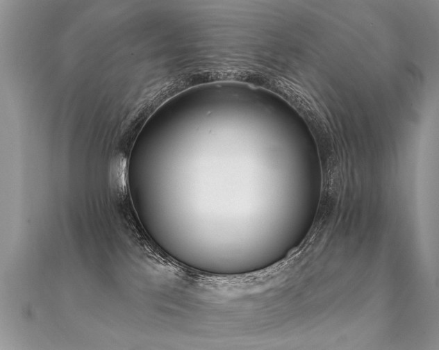 X0000112080041200908111504