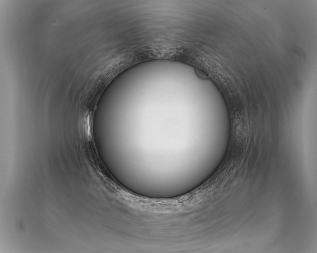 X0000112080042200908111504