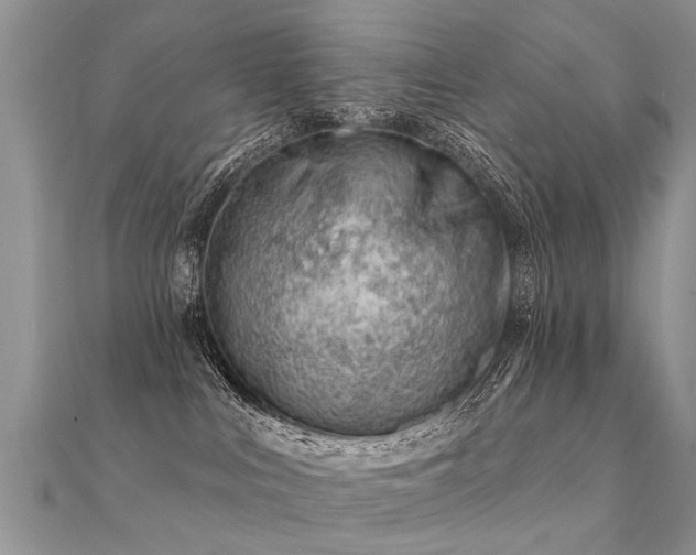 X0000112080043200908111504