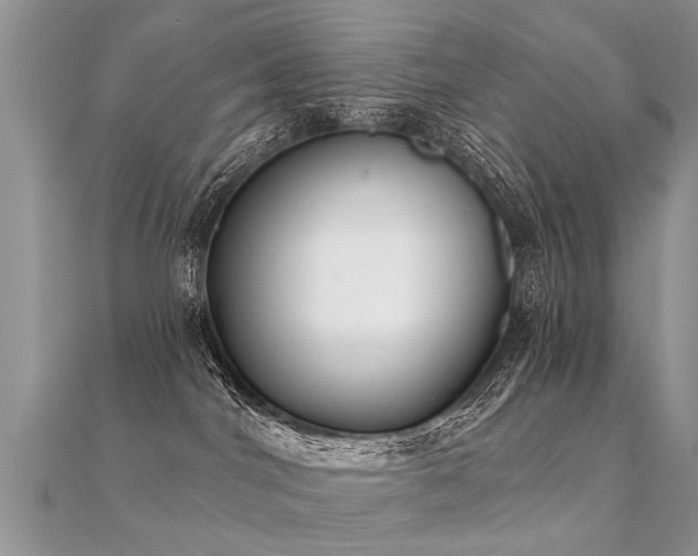 X0000112080044200908111504
