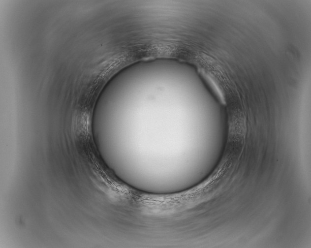 X0000112080045200908111504