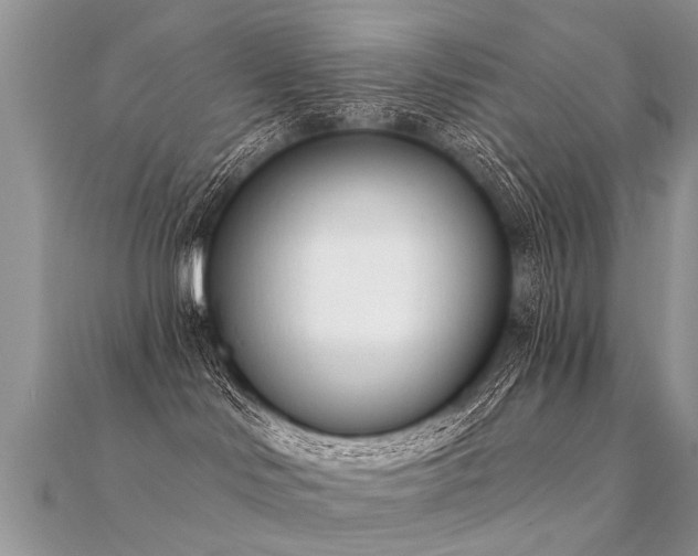 X0000112080046200908111504