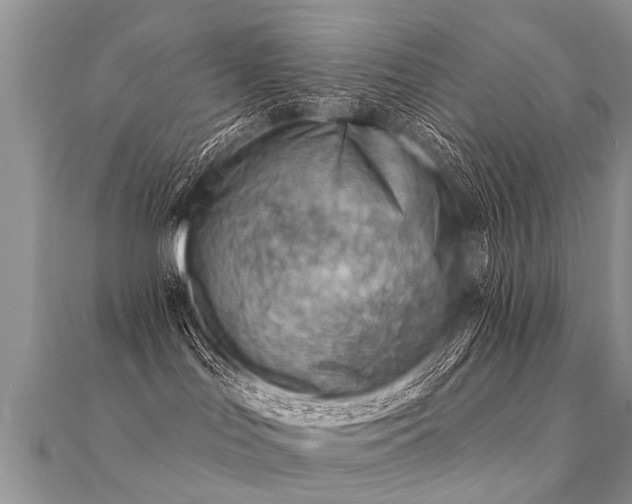 X0000112080047200908111504