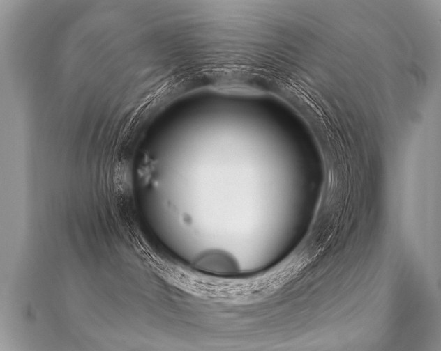 X0000112080048200908111504