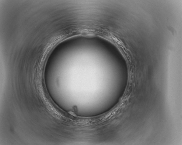 X0000112080049200908111504