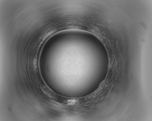 X0000112080050200908111504