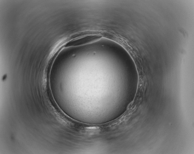 X0000112080053200908111504