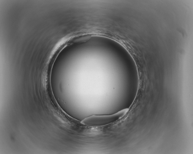 X0000112080056200908111504