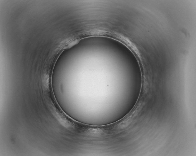 X0000112080057200908111504