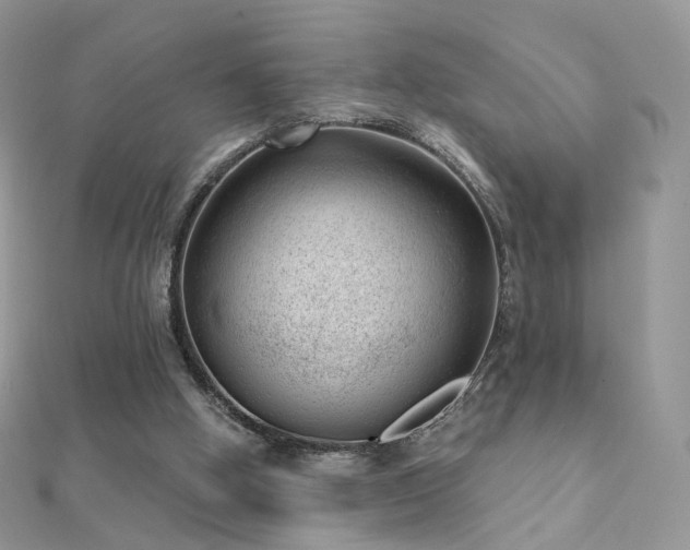 X0000112080058200908111504