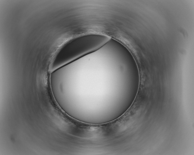 X0000112080060200908111504